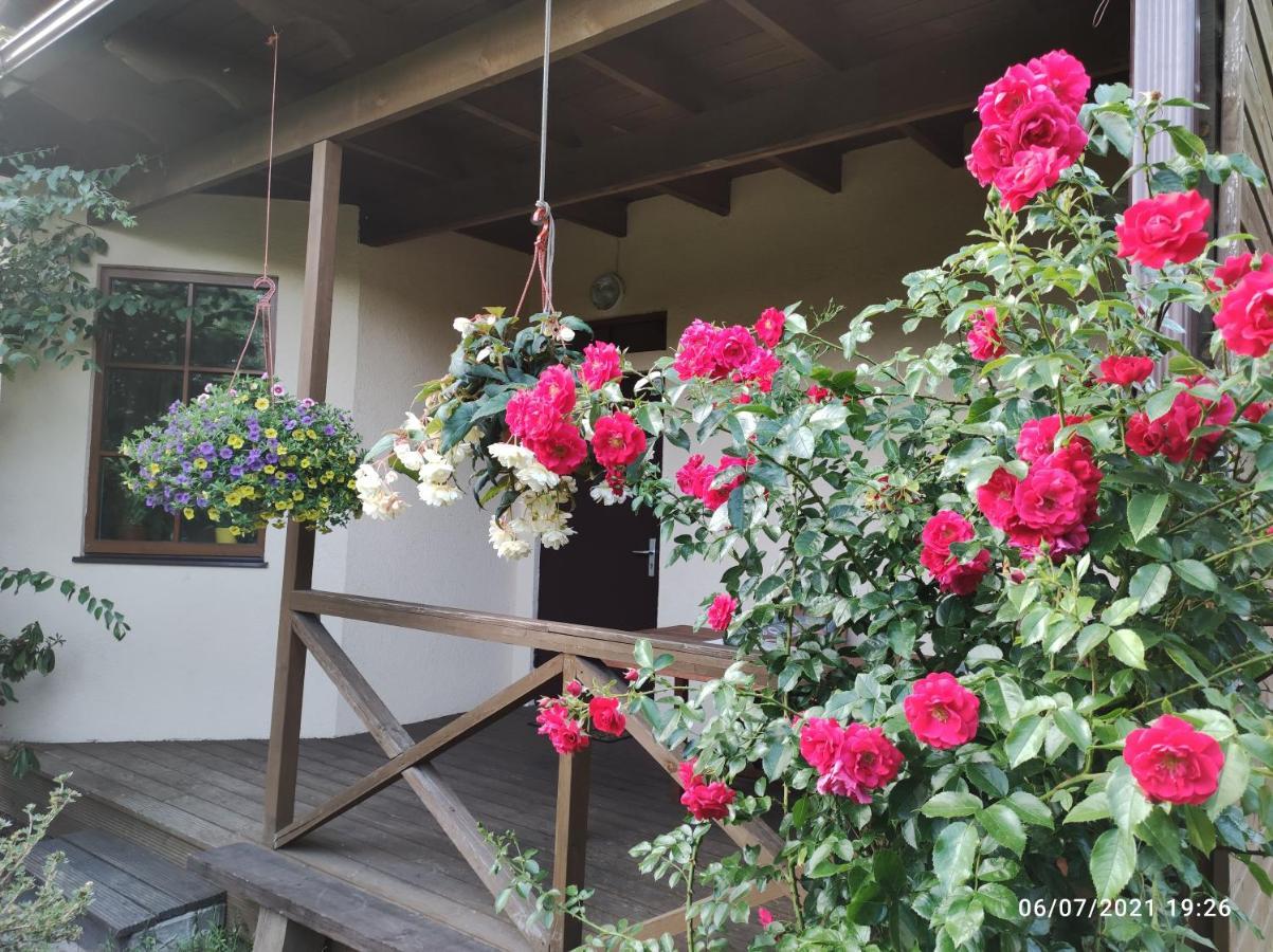 Boutigue City House With Terrace And Garden Free Parking Riga Esterno foto